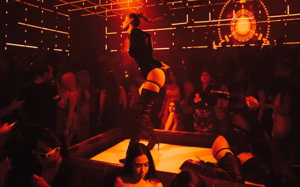 Why The Party Finder is Your Top Choice for Nightlife Bookings